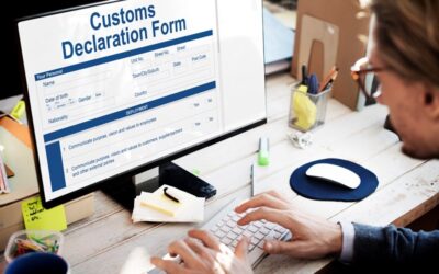 Customs Declaration Service deadline extended