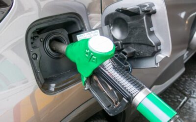 Fuel price watchdog sharpens its teeth